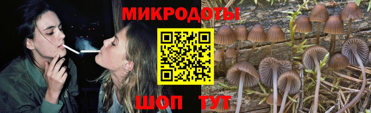 Галлюциногенные грибы мицелий  Вход с VPN  дарнет шоп  Карасук  Псилоцибиновые грибы GOLDEN TEACHER 